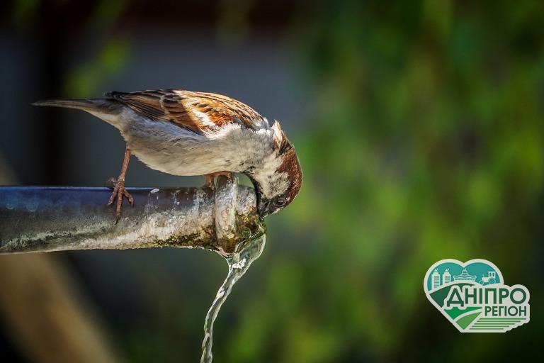 На Дніпропетровщині модернізують насосну станцію, що забезпечує водою 22 населених пункти На Дніпропетровщині модернізують насосну станцію, що забезпечує водою 22 населених пункти