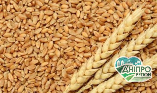 На Дніпропетровщині комбайнери під обстрілами збирають урожай На Дніпропетровщині комбайнери під обстрілами збирають урожай