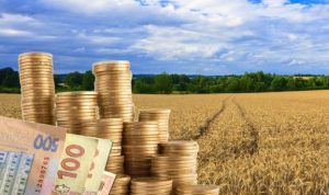 В регіонах України місцева влада дискримінує фермерів?