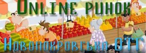 На Дніпропетровщині в Новопокровській ОТГ створили перший Online ринок