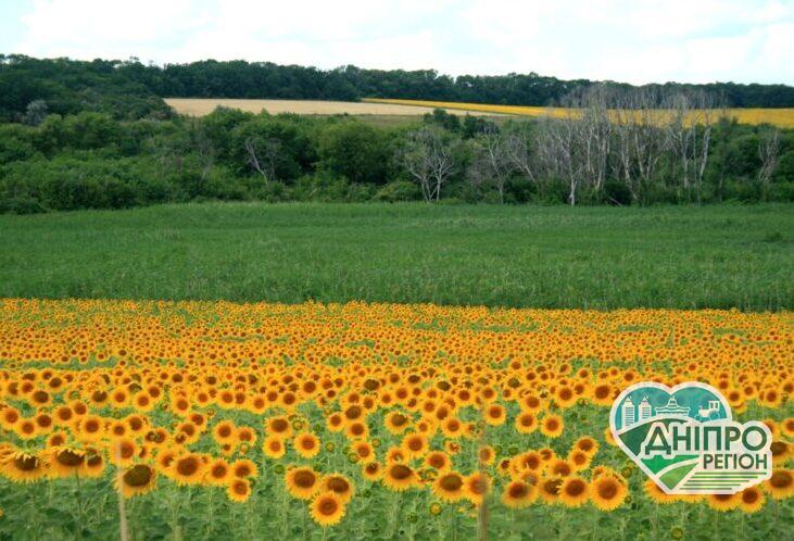 Три ОТГ з Дніпропетровщини стали учасниками пілотного впровадження ДАР Новини Дніпра. Три ОТГ з Дніпропетровщини стали учасниками пілотного впровадження ДАР