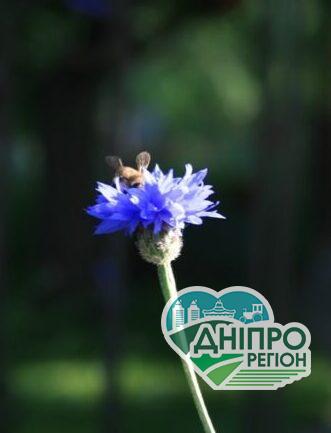 Прогноз погоды в Днепре 28 сентября Новини Дніпра. Прогноз погоди у Дніпрі на 28 вересня