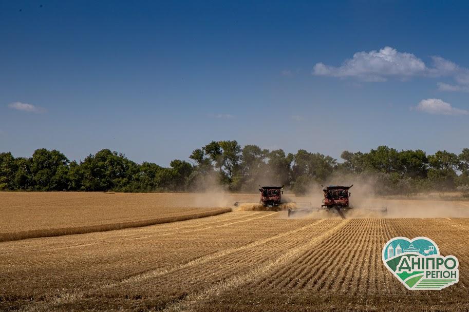 Дніпропетровщина – в національних лідерах за врожаєм ранніх зернових Дніпропетровщина – в національних лідерах за врожаєм ранніх зернових