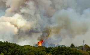 Дніпропетровщина – у зоні ризику: Рівень пожежної небезпеки дуже високий