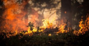 3700 пожеж з початку року сталося на Дніпропетровщині
