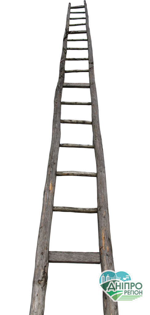 У Жовтих Водах дівчинка впала в занедбаний колодязь (відео)