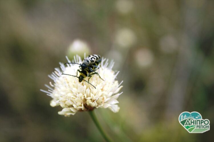 Синоптик Наталка Діденко розповіла, що спека охопить всю Україну Синоптик Наталка Діденко розповіла, що спека охопить всю Україну
