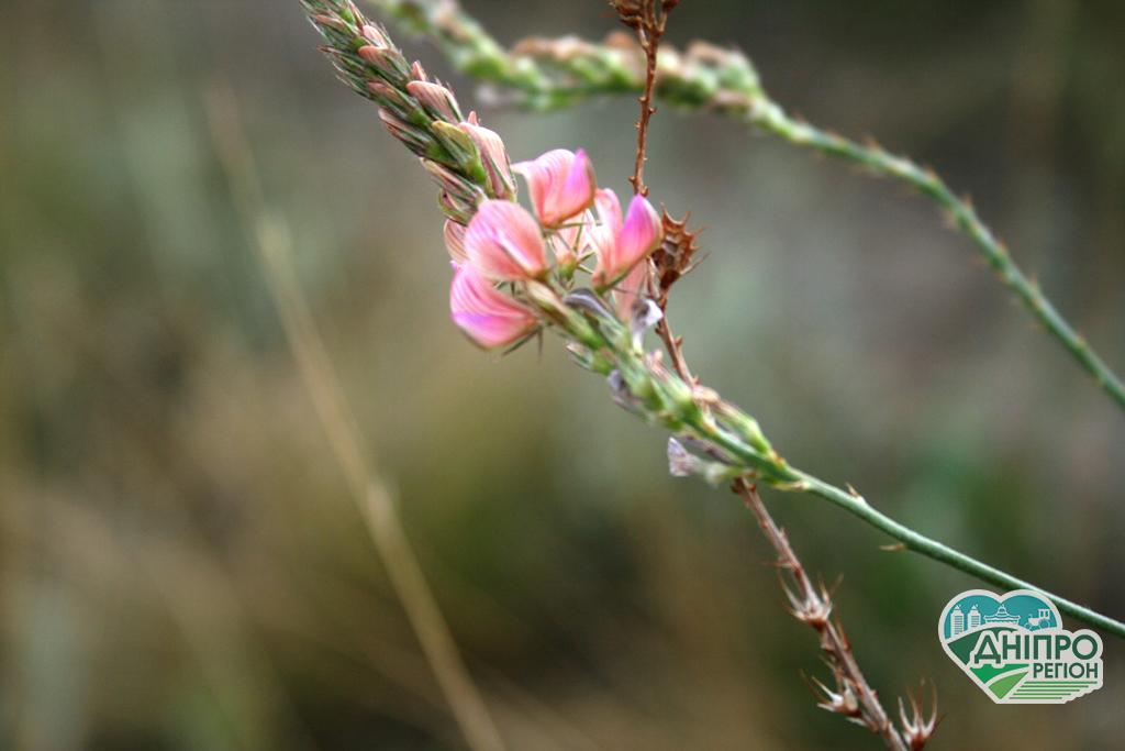 Погода на 10 серпня: насолоджуємось комфортною температурою Погода на 10 серпня: насолоджуємось комфортною температурою