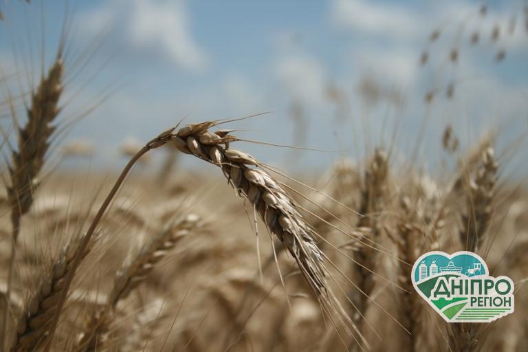 Державна підтримка аграріям: 125 млн грн на компенсацію відсотків по кредитам Державна підтримка аграріям: 125 млн грн на компенсацію відсотків по кредитам