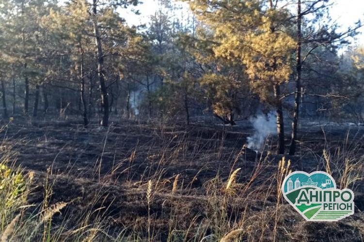 Під Дніпром горів ліс: спільними зусиллями пожежу ліквідовано Під Дніпром горів ліс: спыльними зусиллями пожежу ліквідовано