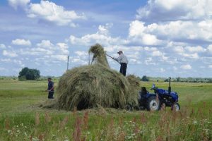Програма по частковому безробіттю: 374 тисячі робочих місць збережено