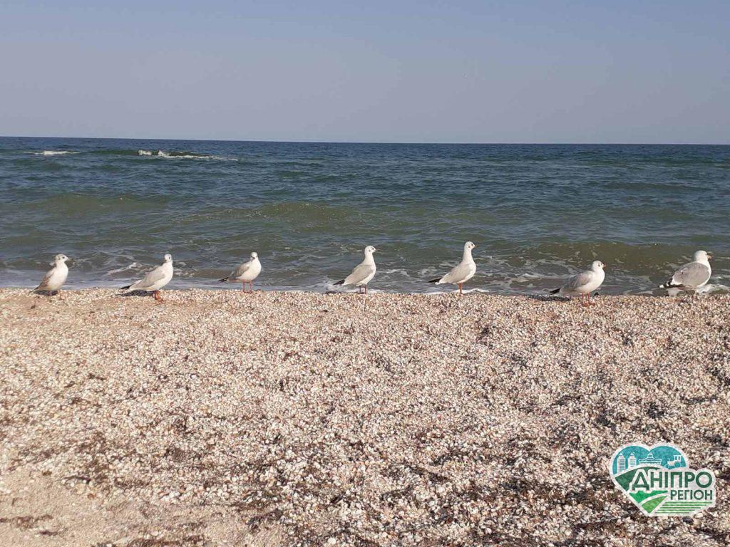 Бархатный сезон на Азовском море: преимущества позднего отдыха Відпочинок на Чорному та Азовському морях 2022 в умовах війни: прогнози експертів