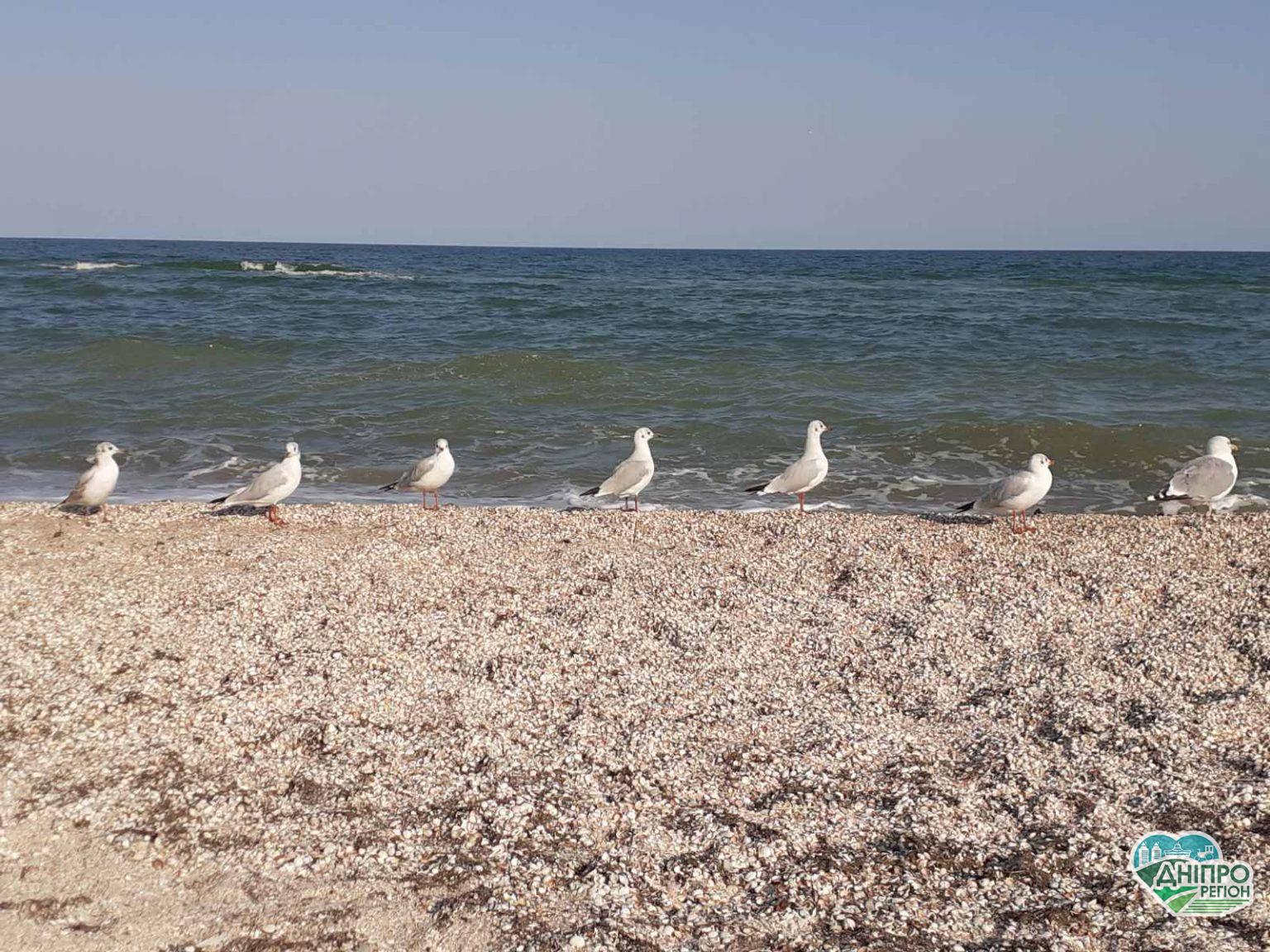 Бархатный сезон на Азовском море: преимущества позднего отдыха Відпочинок на Чорному та Азовському морях 2022 в умовах війни: прогнози експертів