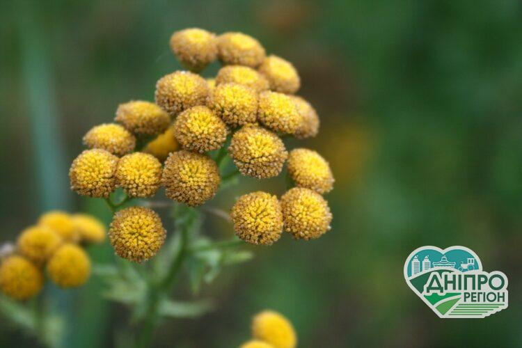 Прогноз погоди у Дніпрі на 2 вересня Новини Дніпра. Прогноз погоди у Дніпрі на 2 вересня