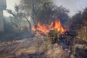 Под Днепром возгорание сухостоя привело к уничтожению двух сооружений (фото)