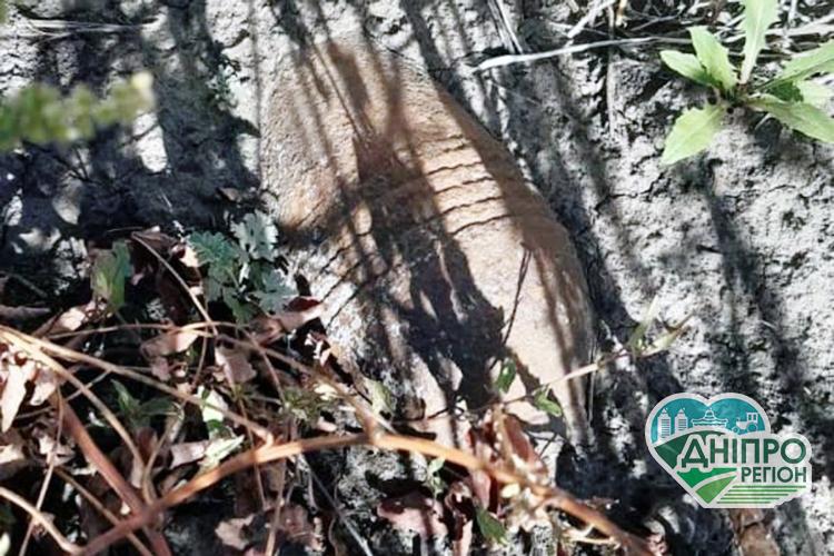 Под Днепром чрезвычайники уничтожили мину, что годы пролежала в земле Під Дніпром надзвичайники знищили міну, що роки пролежала в землі