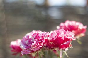 Прогноз погоди у Дніпрі на 16 вересня