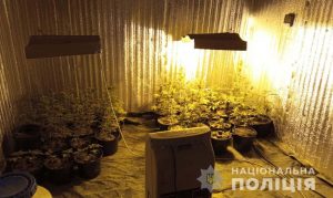 На Дніпропетровщині поліцейські затримали групу, яка збувала наркотичні речовини