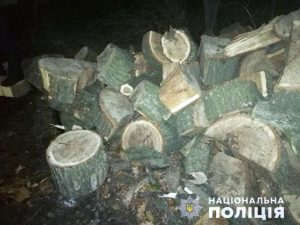 На Дніпропетровщині перевернулася вантажівка: є питання до законності деревини