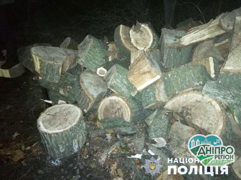 На Дніпропетровщині перевернулася вантажівка: є питання до законності деревини На Дніпропетровщині перевернулася вантажівка: є питання до законності деревини