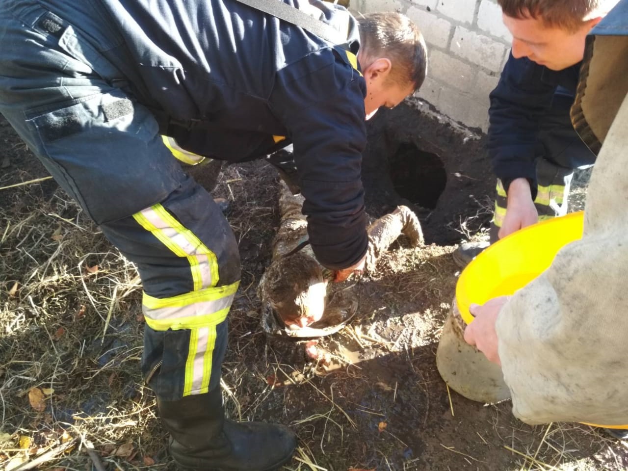 На Дніпропетровщині через батьківський недогляд малюк впав у вигрібну яму