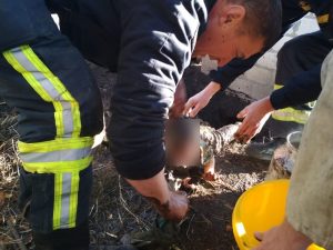 На Дніпропетровщині через батьківський недогляд малюк впав у вигрібну яму