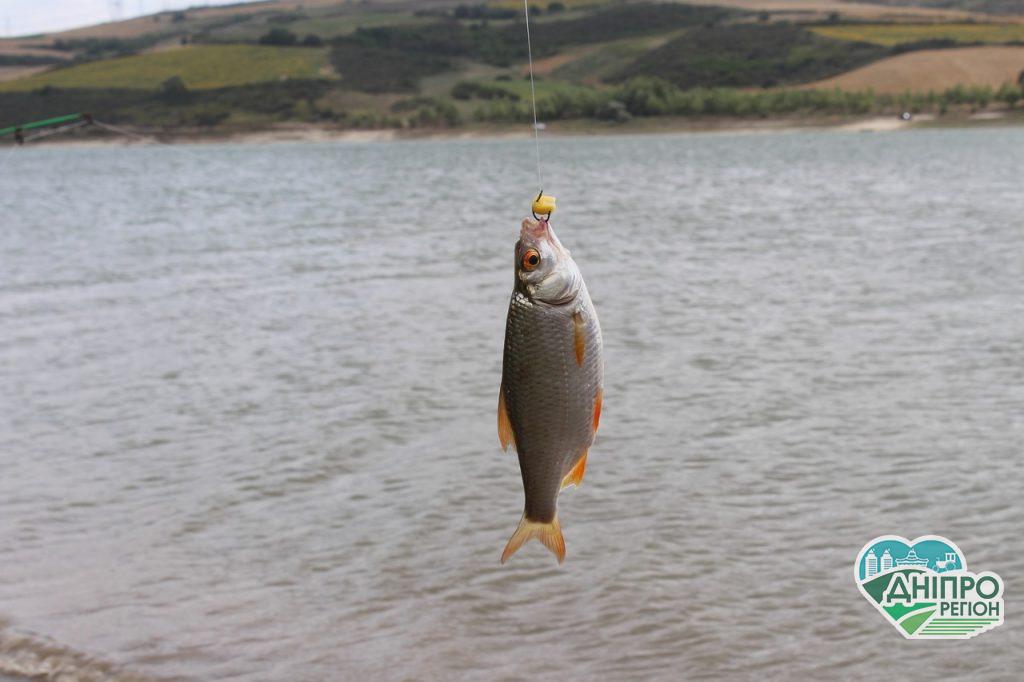 Укравтодор оприлюднив маршрути «рибних місць» на Дніпропетровщині Укравтодор оприлюднив маршрути «рибних місць» на Дніпропетровщині