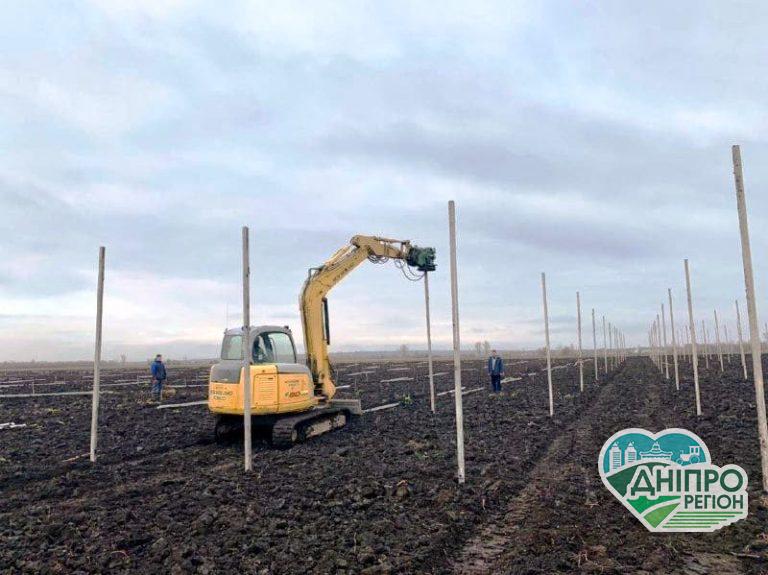 На Дніпропетровщині почалися роботи по створенню нового грушевого саду