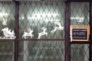 У Дніпрі в ботанічному саду ДНУ відкрився новорічний ярмарок (фото)