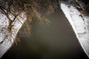 Одна з перлин Дніпропетрощини – річка Оріль, отримає друге життя (фото)