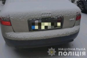 У Петриківці зловили “на гарячому» кримінальний тандем за участі неповнолітнього