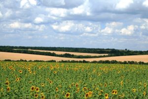 На Дніпропетровщині громаді повернули земельну ділянку