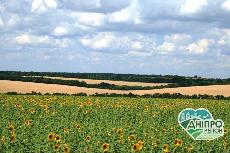 На Дніпропетровщині громаді повернули земельну ділянку Новини Дніпропетровщини. На Дніпропетровщині громаді повернули земельну ділянку