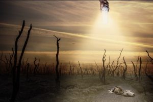 Сьогодні – Міжнародний день боротьби з пестицидами