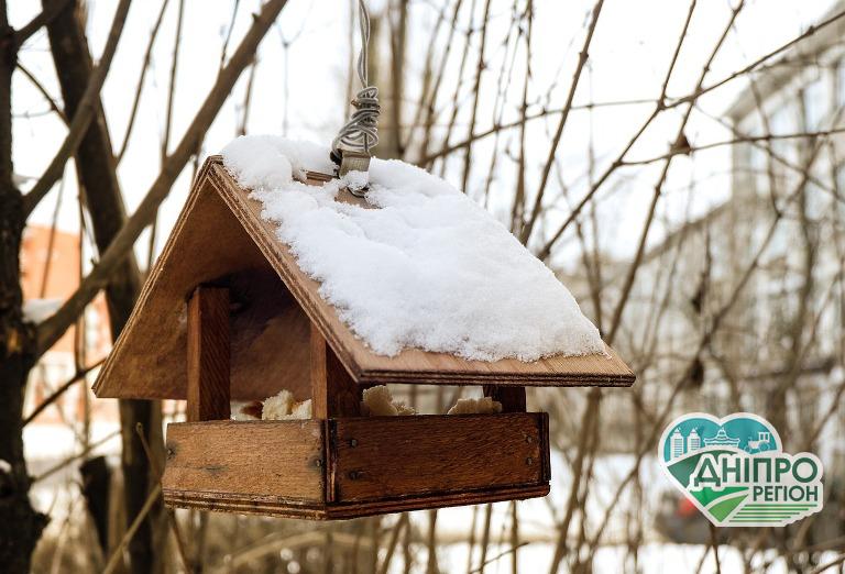 Мешканців Дніпропетровщини закликають долучитися до акції «Нагодуй птахів взимку» Мешканців Дніпропетровщини закликають долучитися до акції «Нагодуй птахів взимку»