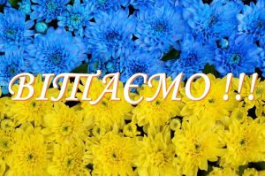 За кращу новорічну листівку мешканка Павлограда отримала 15 тис. грн