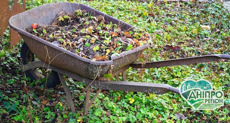 Місячний календар – 13 грудня: що робити вдома та в теплиці Місячний календар – 13 грудня: що робити вдома та в теплиці