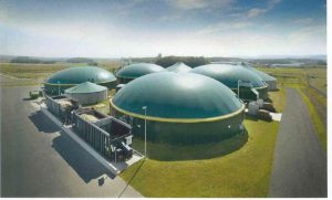 На Дніпропетровщині планують побудувати біогазову електростанцію