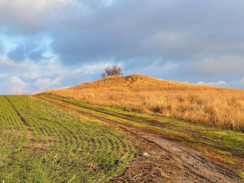На Дніпропетровщині невідомі розкопали курган Новини Дніпропетровщини. На Дніпропетровщині невідомі розкопали курган