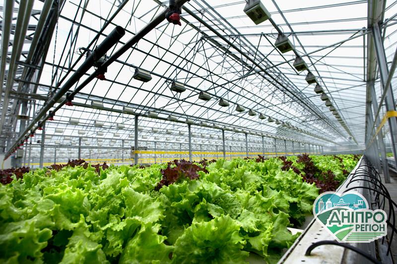 Місячний посівний календар городника та садівника на січень 2021 Новини Дніпропетровщини. Місячний посівний календар городника та садівника на січень 2021