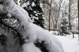 На Дніпропетровщину йде зима: прогноз погоди на найближчий тиждень