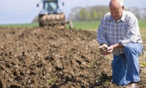 Рада ухвалила  Фонд часткового гарантування кредитів для фермерів