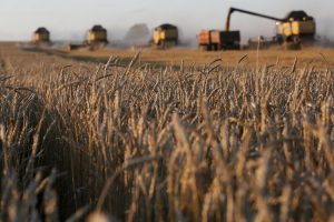В Україні скорочується сільгоспвиробництво