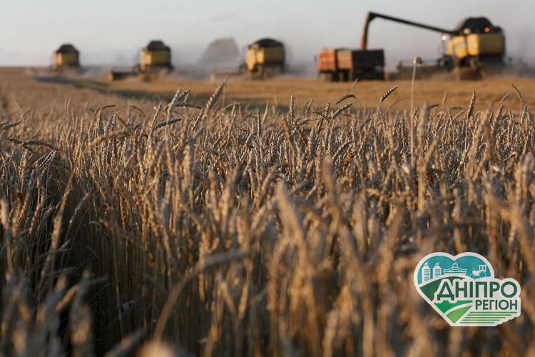 В Україні скорочується сільгоспвиробництво В Україні скорочують сільгоспвиробництво: причини