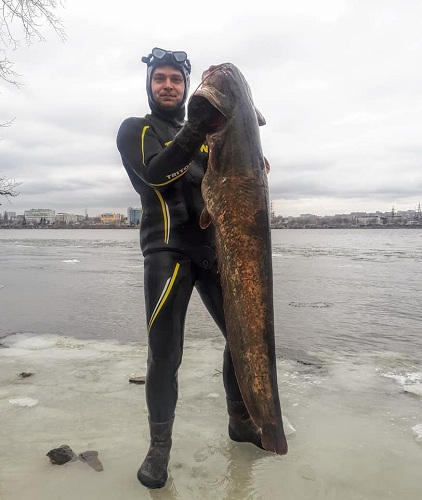 На Дніпропетровщині рибалка зловив гігантського сома