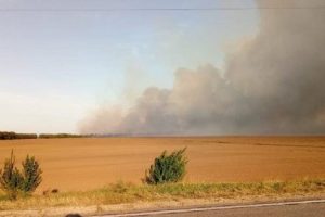 Рада збільшила штрафи за випалювання лісів