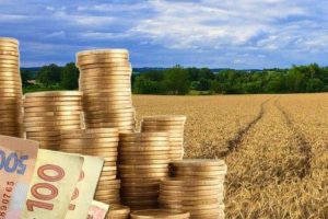 Хто звільнений від податків на землю