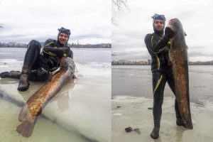 На Дніпропетровщині рибалка піймав величезного сома