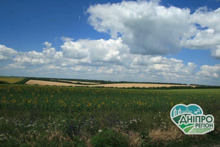 Чи готові україці продавати паї: результати опитування Новини Дніпропетровщини. Чи готові україці продавати паї: результати опитування