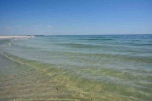 Азовське море: експерти назвали подібність і відмінність двох популярних курортів